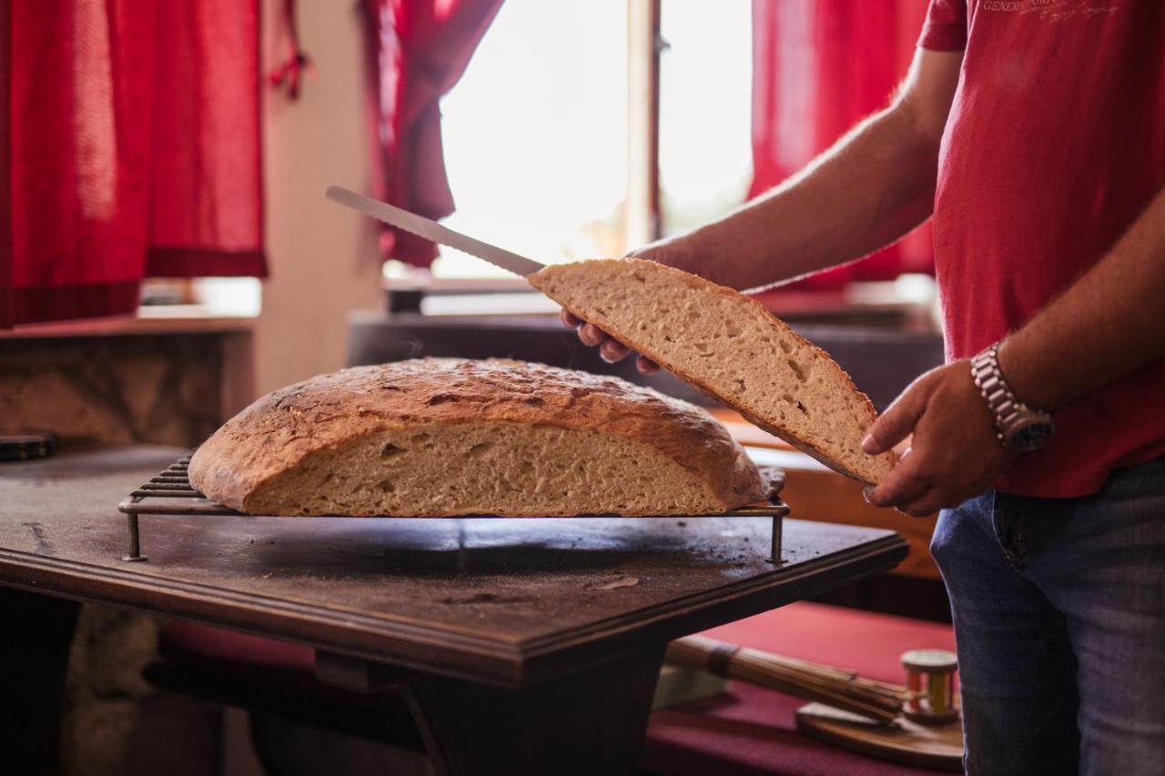 Bed&Breakfast Agroturizam Antunovic Kuna Pelješka Eksteriør billede